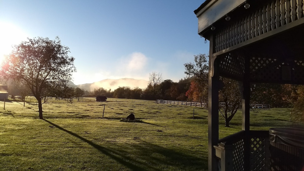 Black Lantern Inn - photo 34