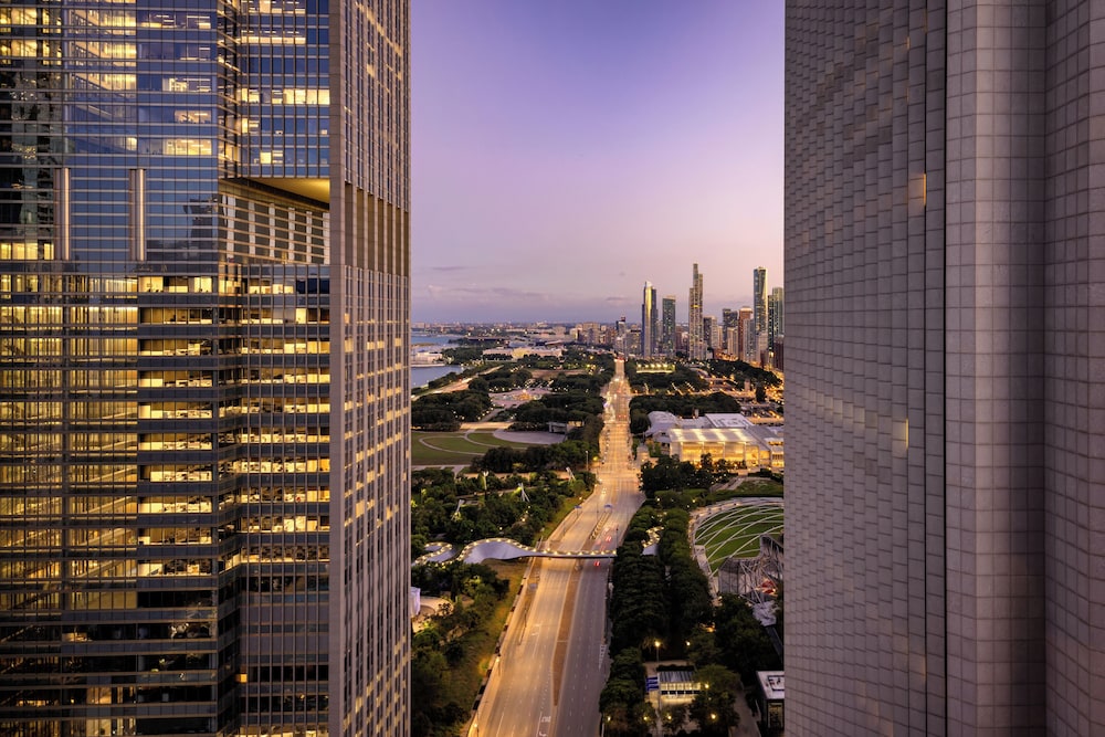 Fairmont Chicago at Millennium Park - photo 68