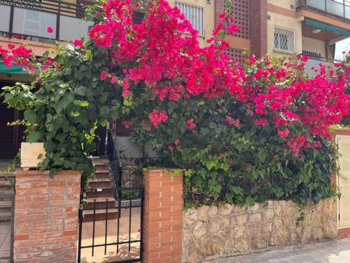 Precioso Bajo En 2a Linea De Mar — Calafell