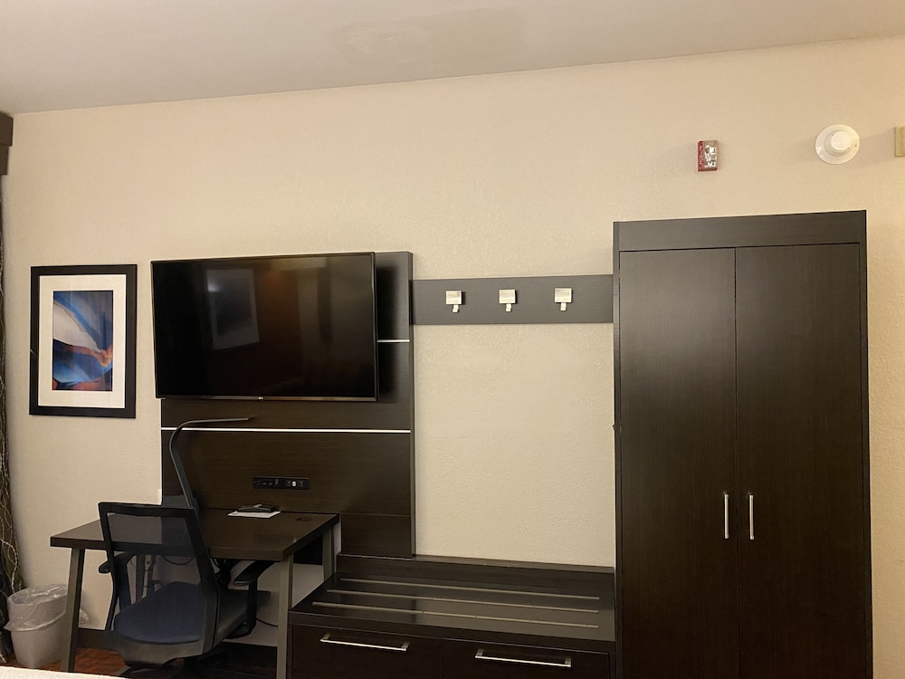 Holiday Inn Express Metropolis - photo 29