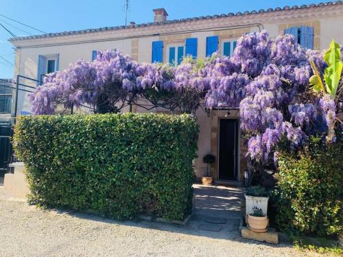Le Mas Des Glycines — hotel in Salon-De-Provence