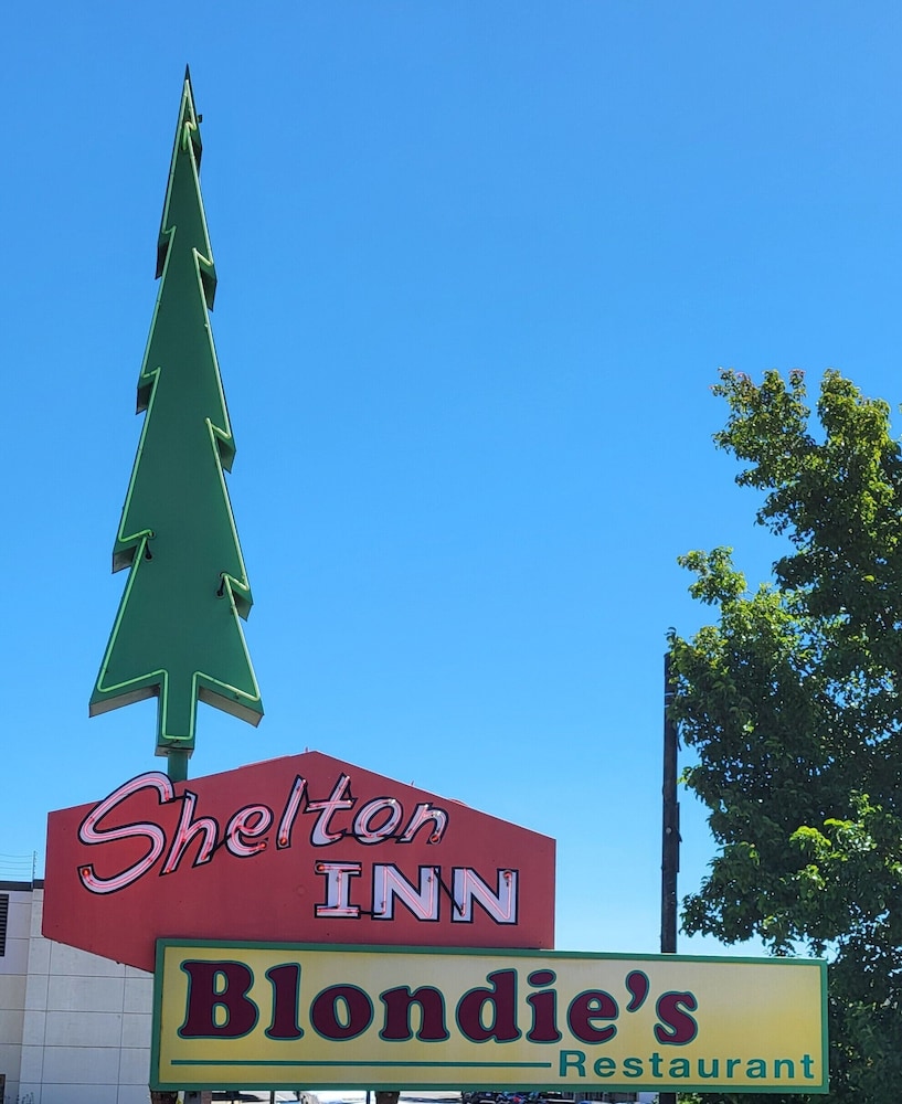 Shelton Inn - photo 18