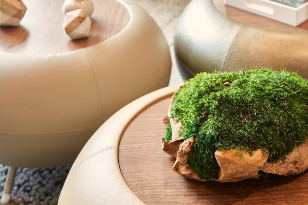 Element Asheville Downtown - photo 2