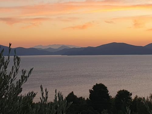 Olive Grove House — Kalamos — photo 4