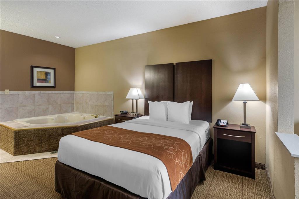 Comfort Suites The Colony Plano West - photo 23