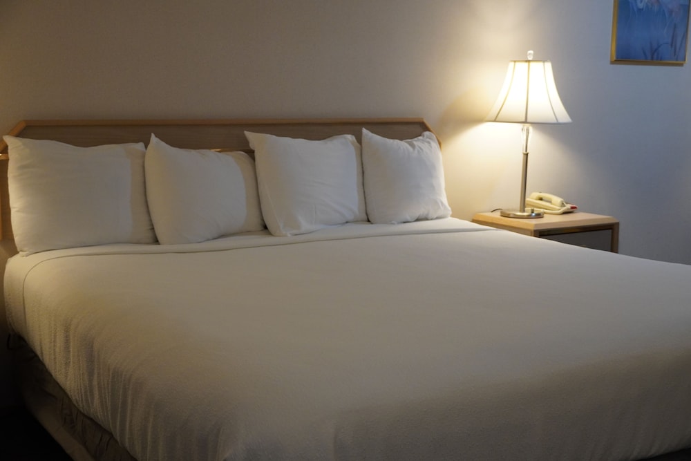 Timberland Inn & Suites - photo 44