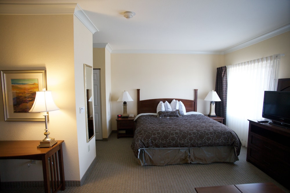 Staybridge Suites San Antonio Sea World by IHG - photo 7