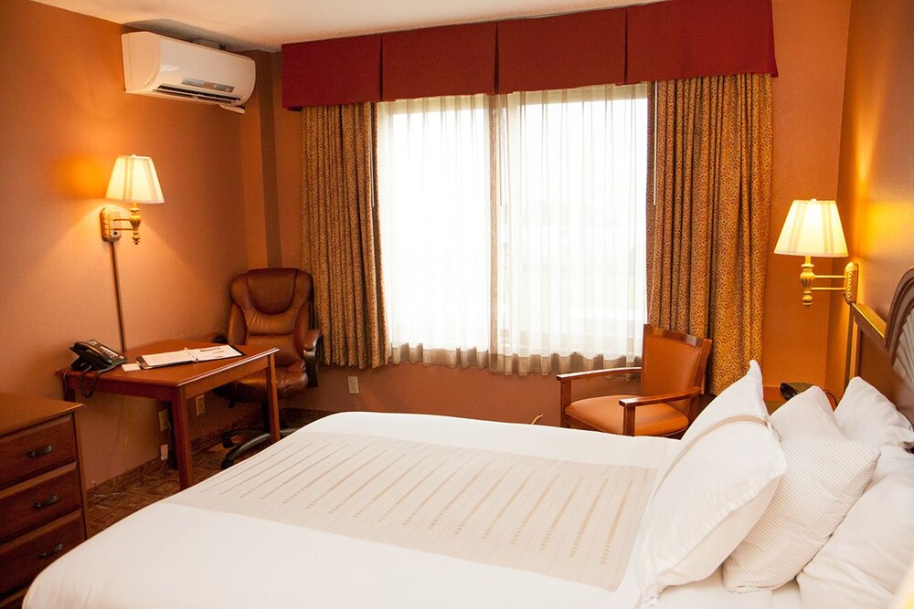 Norland Inn and Suites Roseau - photo 9