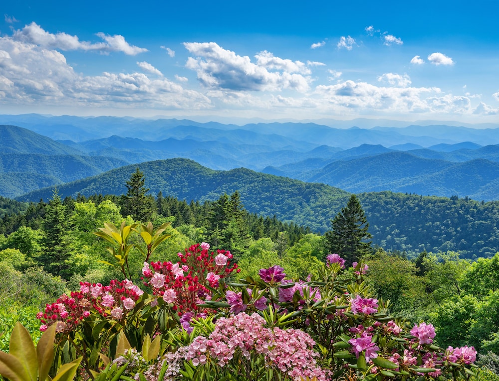 Holiday Inn Asheville East Blue Ridge PKWY by IHG - photo 18