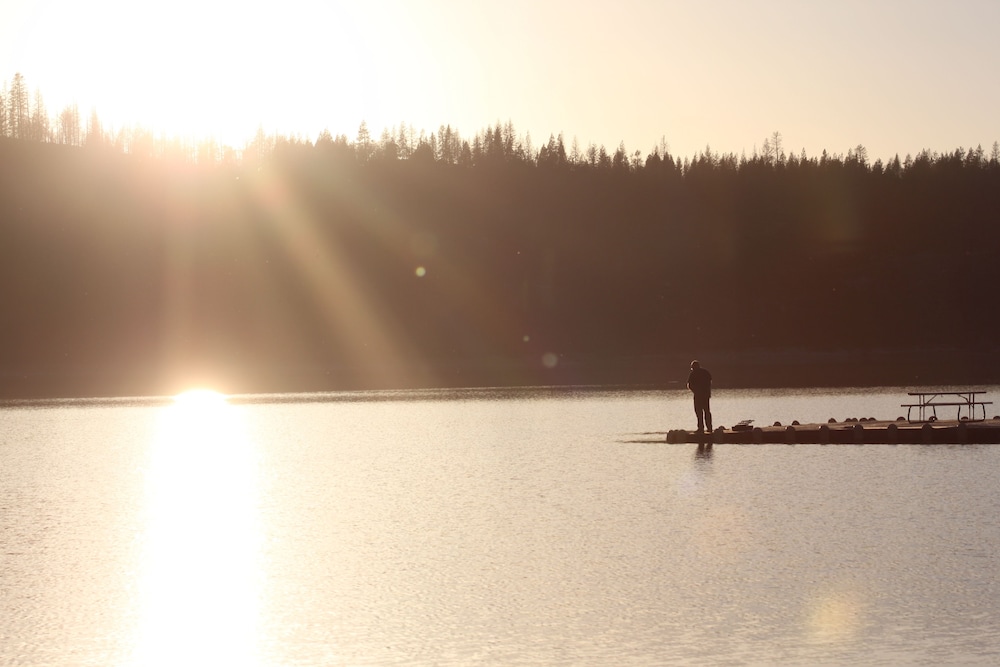 The Pines Resort - photo 44