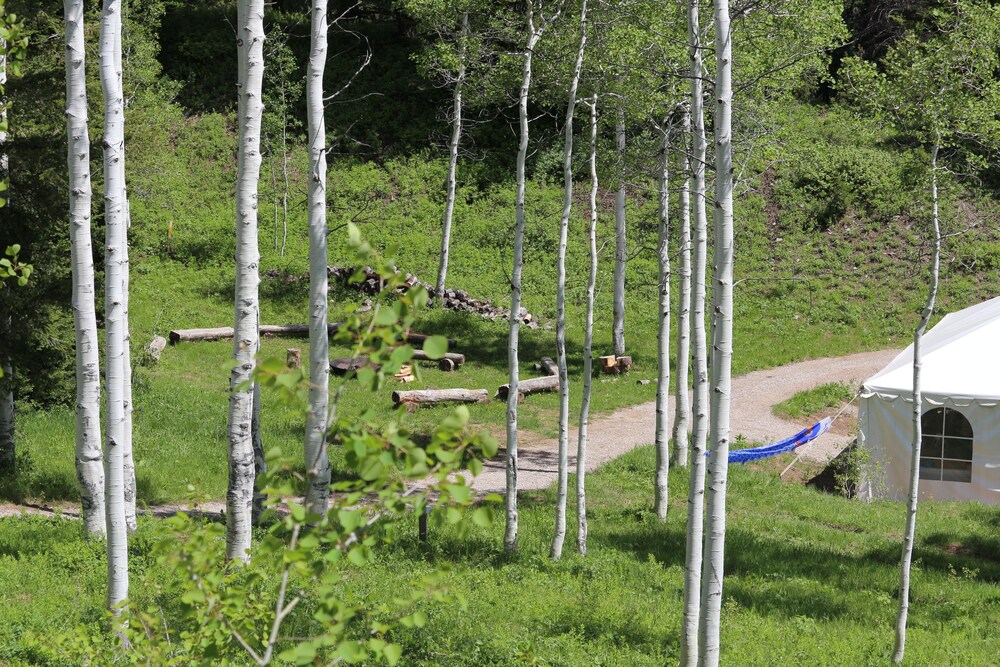 Teewinot Lodge by Grand Targhee Resort - photo 59