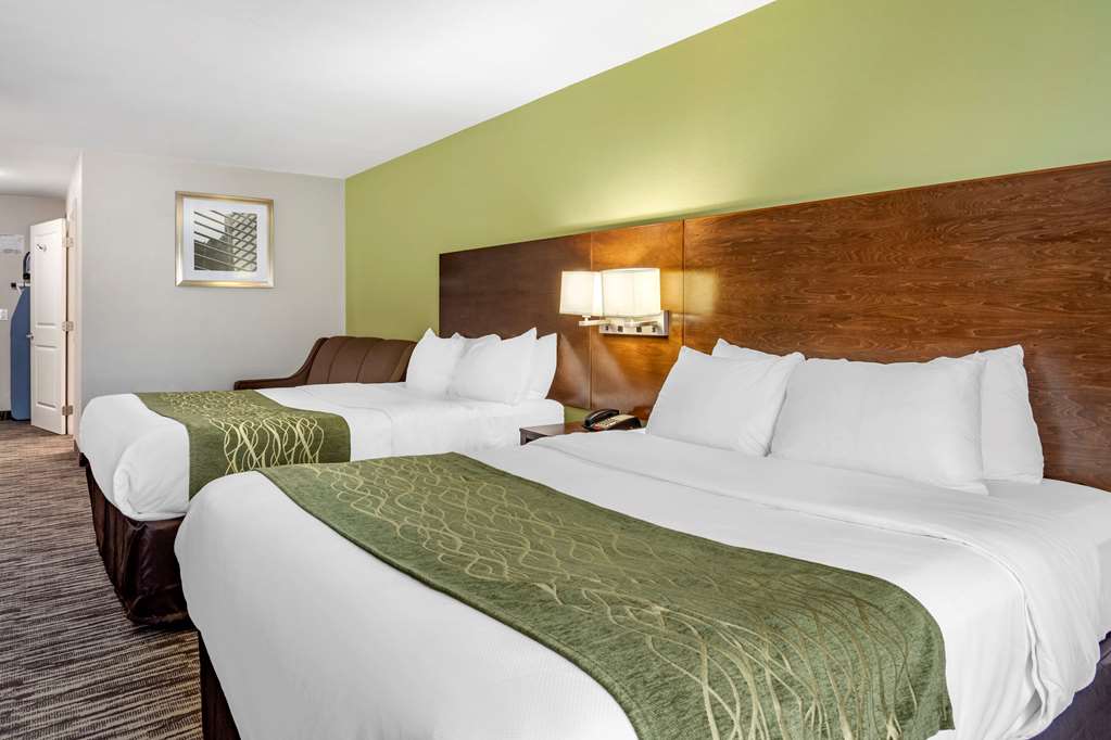 Comfort Inn & Suites North Little Rock JFK Blvd - photo 15
