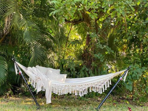 Cozy Renovated Vintage Modern House Downtown — 4-Star Luxury Hotel in Fort Myers, United States