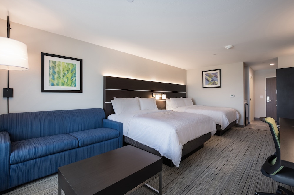 Holiday Inn Express & Suites Chicago Hoffman Estates by IHG - photo 6