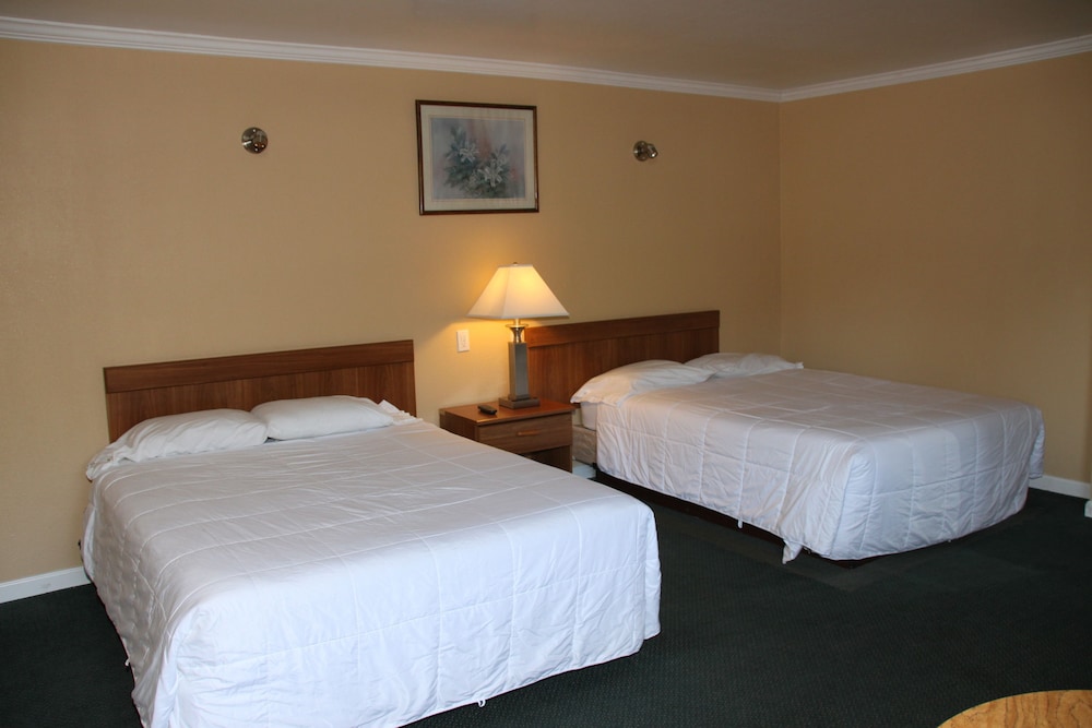 Villa Inn - photo 5