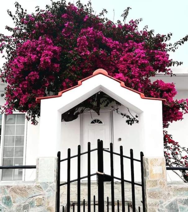 Annika’s Summer Dream in Livadeia, Greece