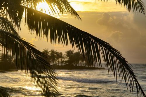 Hotel Casa Canada — Corn Island — photo 3