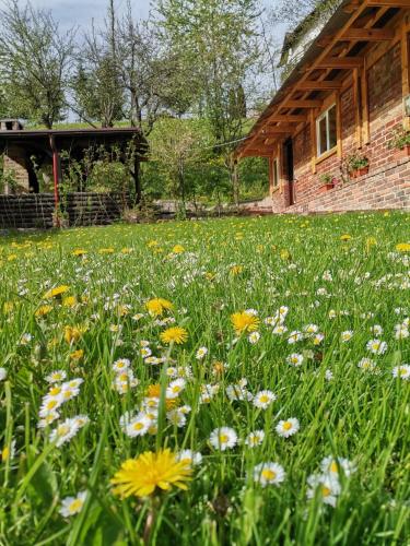 Casuta Azughia in Azuga, Romania