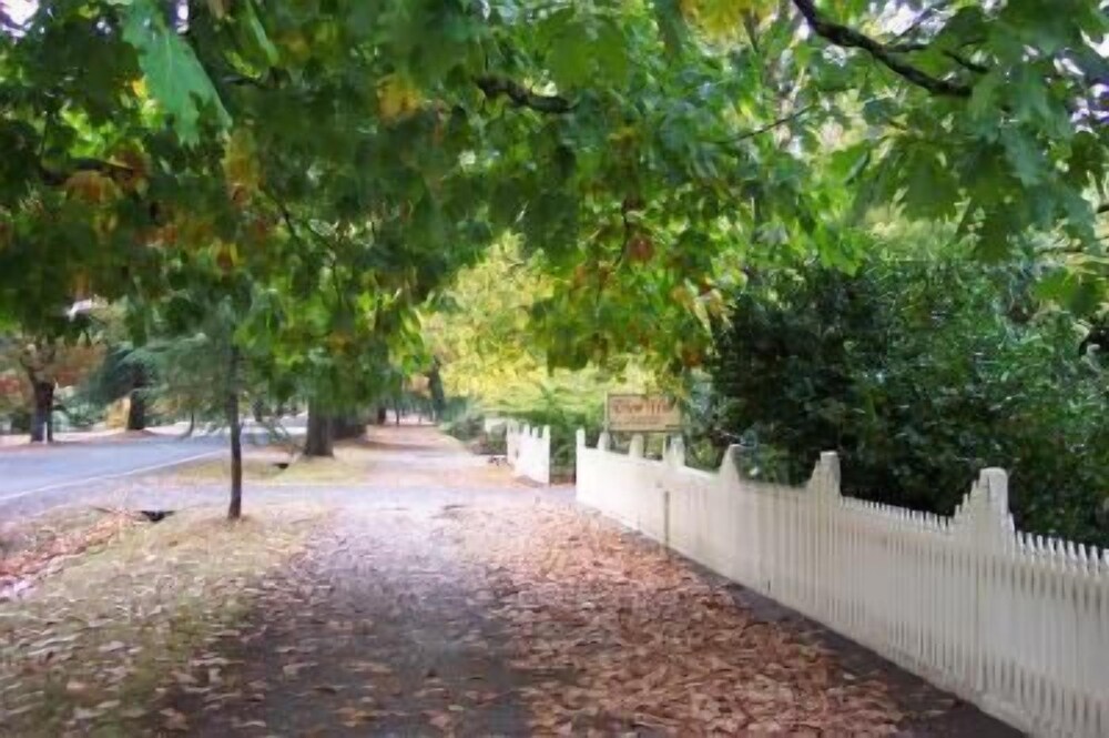 View Hill Holiday Units in Bright, Australia