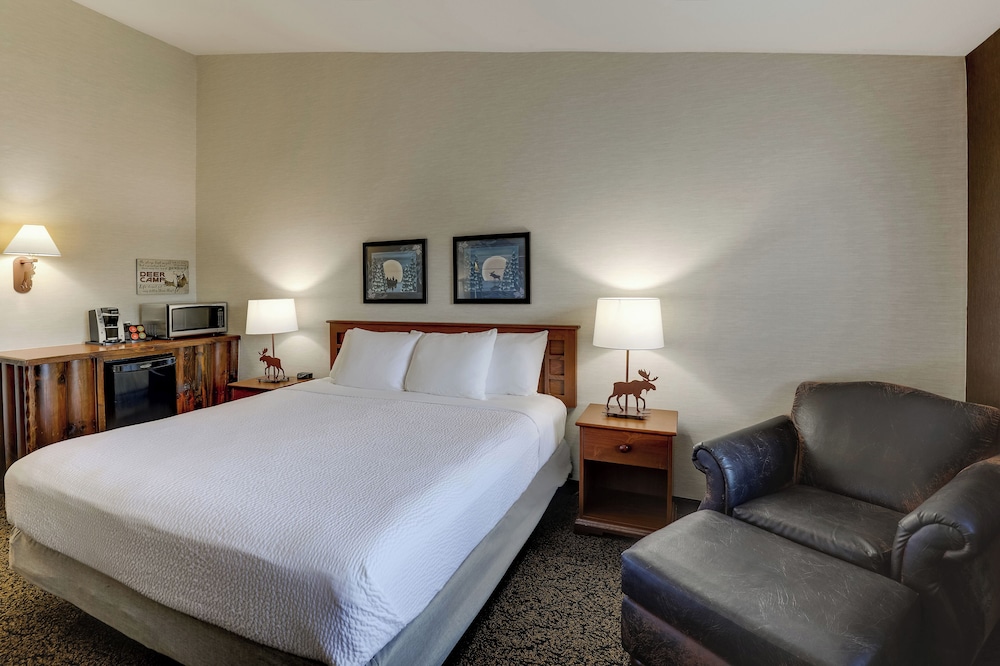 Stoney Creek Hotel Columbia - photo 17