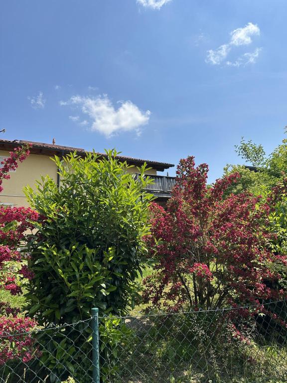 meywohnen Bad Endorf — Bad Endorf — photo 4