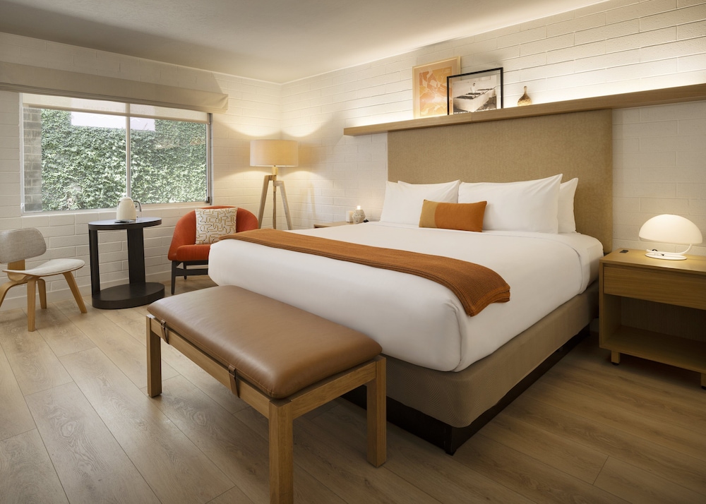 Dr. Wilkinson's Backyard Resort and Mineral Springs a Member of Design Hotels - photo 56