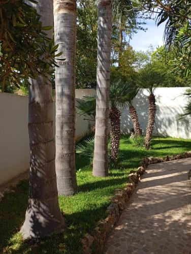 Oasi Vacanza in Mazara Del Vallo, Italy