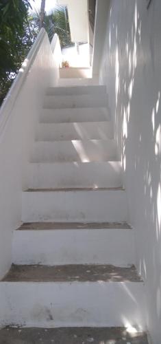 Jestine Homestay