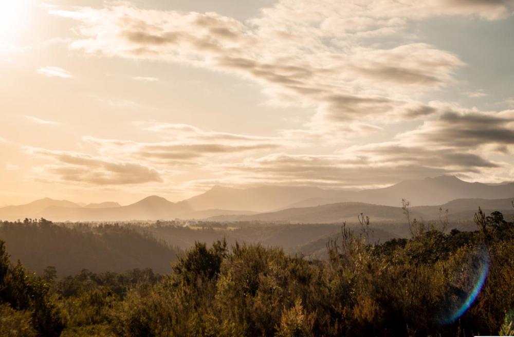 Forest Harmony pet-friendly hotel Knysna