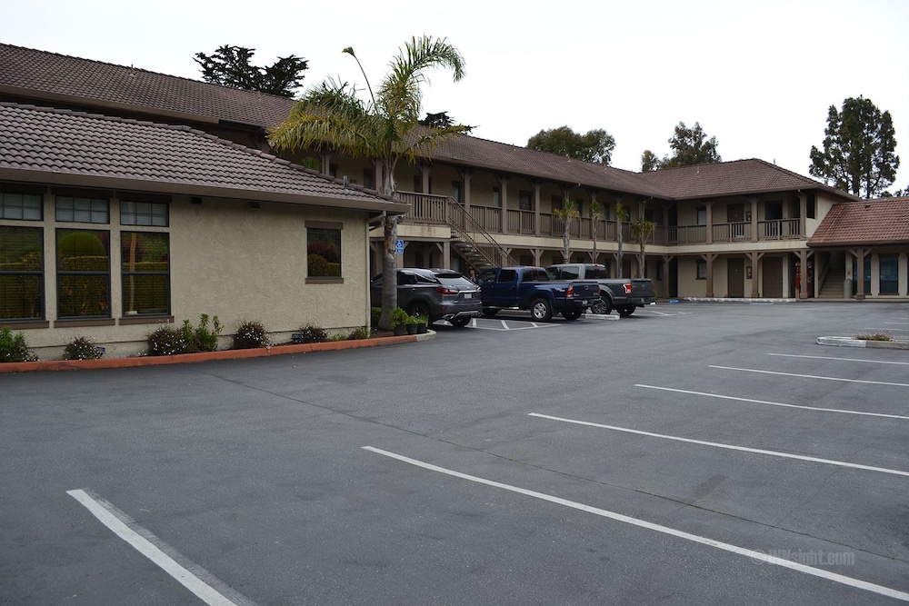 The Miramar Inn and Suites - photo 24