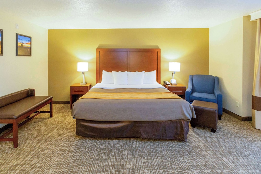 Comfort Inn Salt Lake City Downtown - photo 32