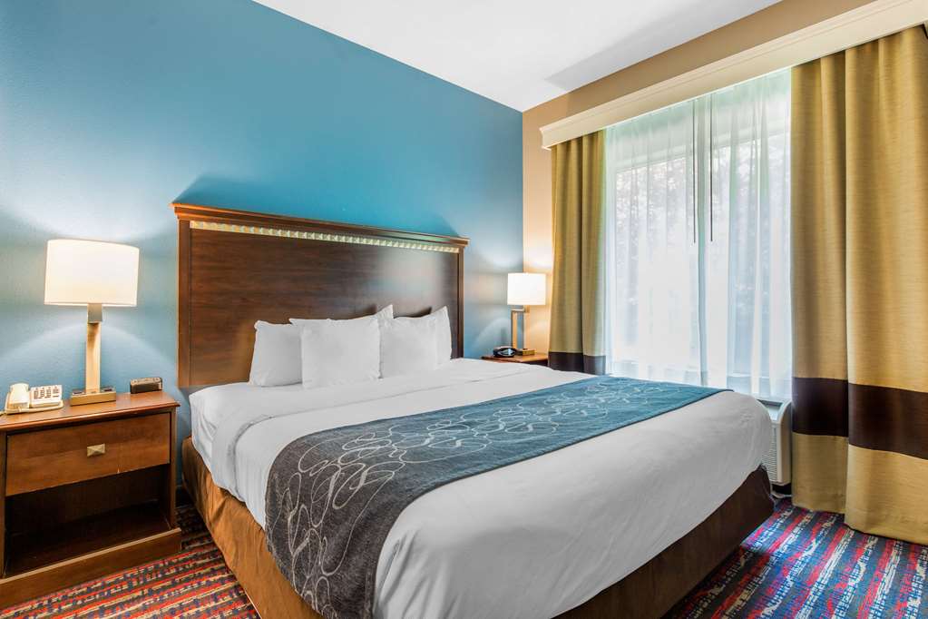 Comfort Suites Fairview Heights St. Louis - photo 19