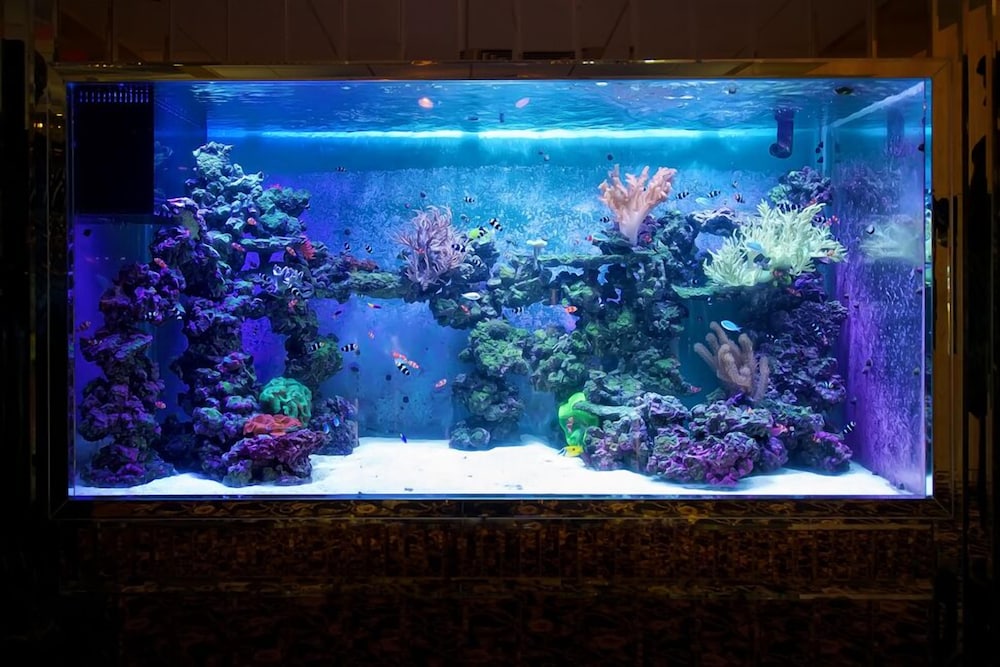 Garden Place Hotel - photo 5