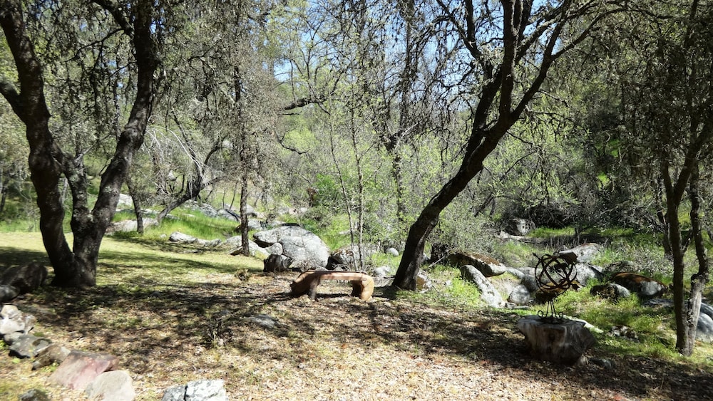 Little Valley Inn - photo 43