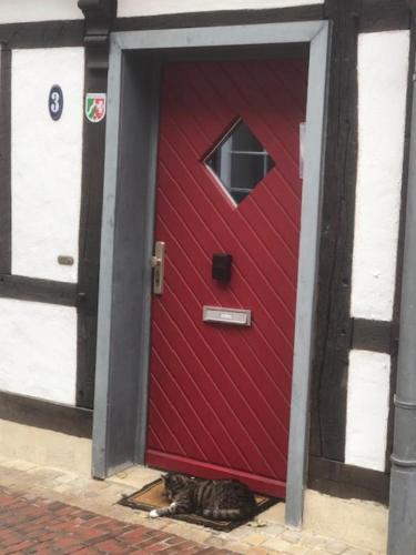 Charmantes Fachwerkhaus In Der Innenstadt — Minden