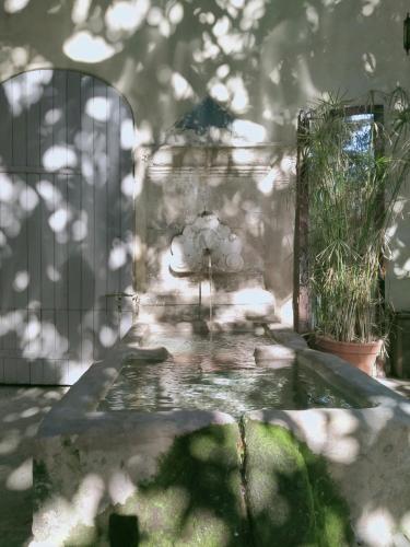 Côté fontaine in Orange, France