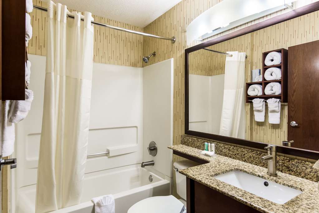 Quality Inn Chester South Richmond - photo 12