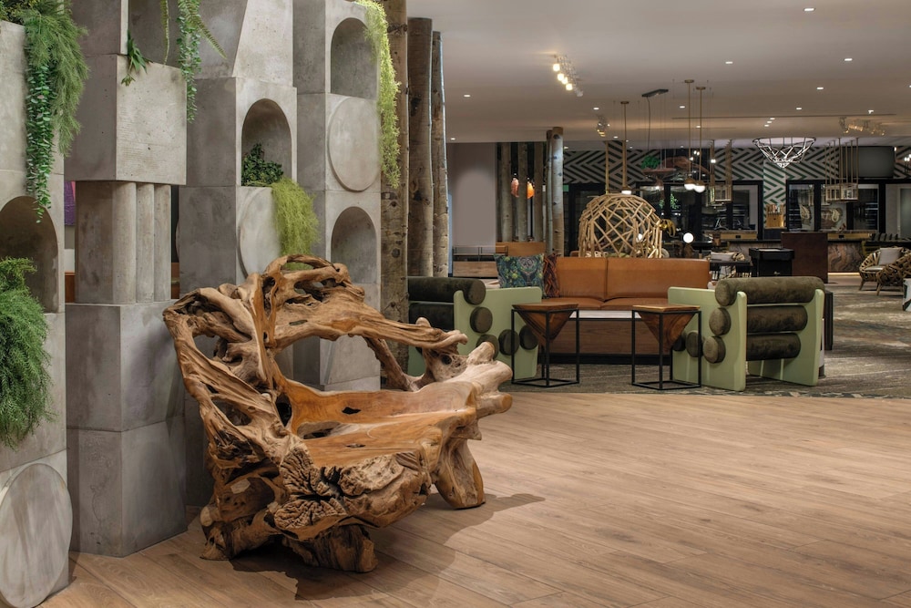 Hotel Paradox Autograph Collection - photo 4