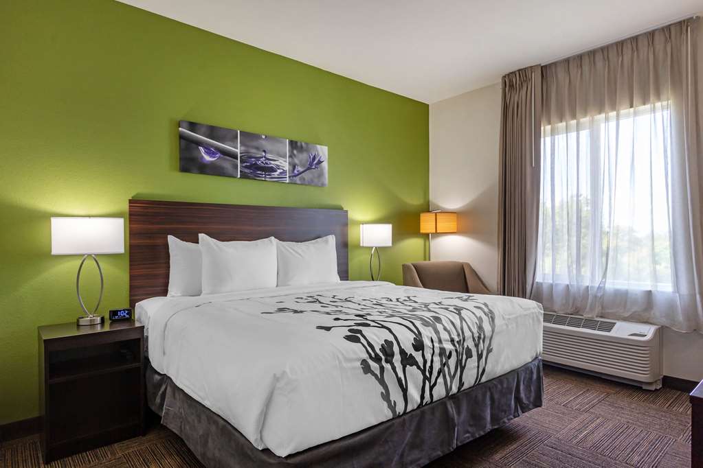 Sleep Inn & Suites Tampa South - photo 7