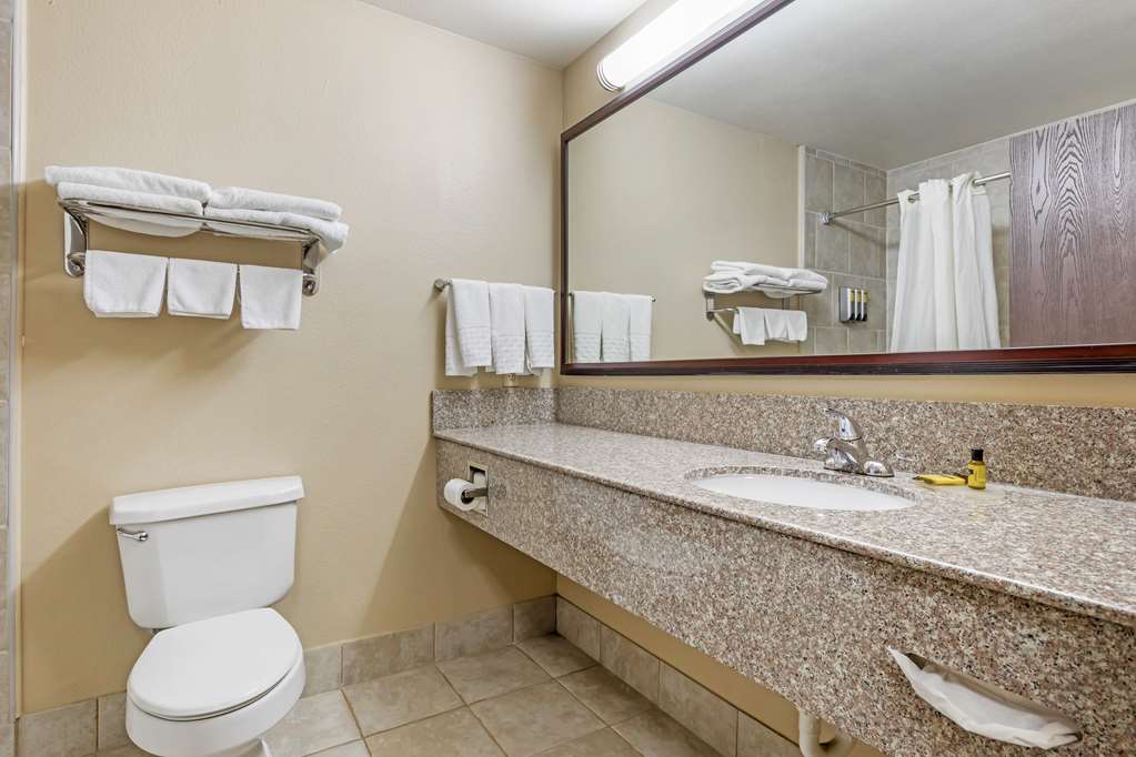 Best Western Plus Burleson Inn & Suites - photo 26