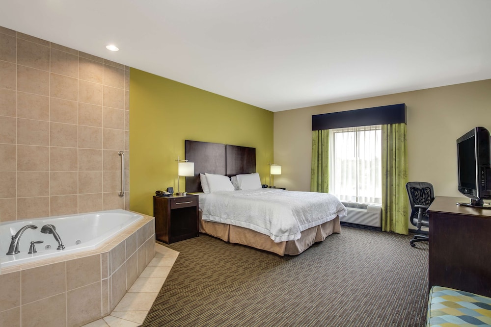 Hampton Inn Ozark - photo 16
