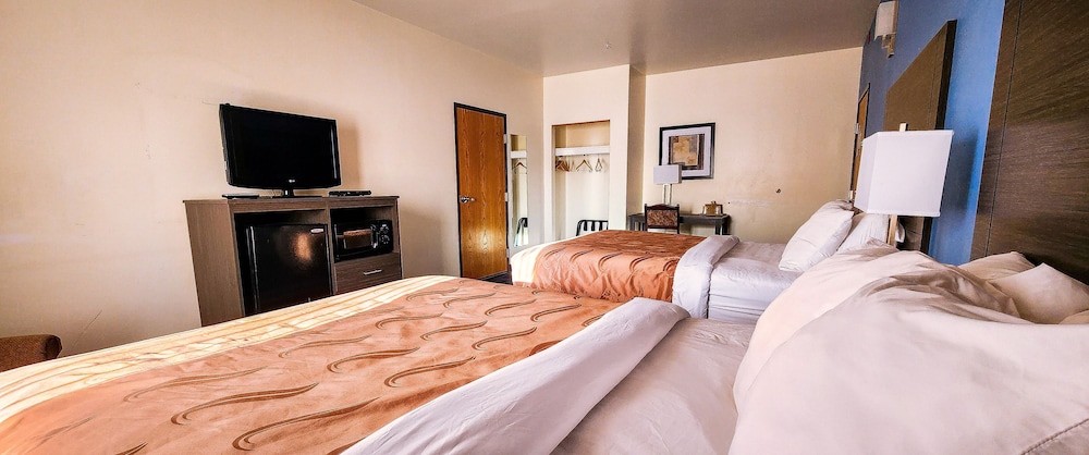 Helena Inn Airport - photo 8