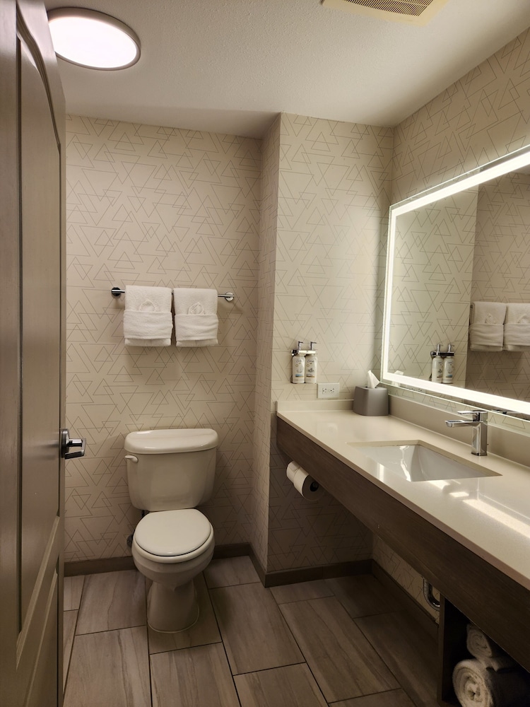 Holiday Inn Express Hotel & Suites Crawfordsville by IHG - photo 15
