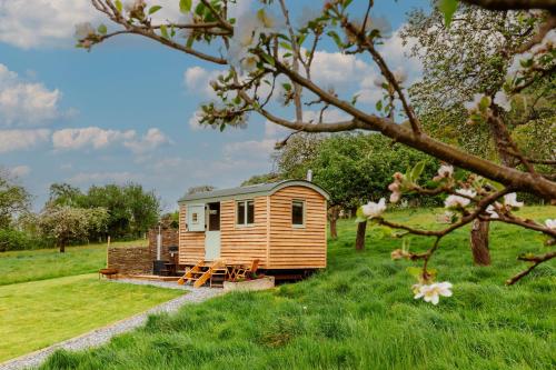 Bramley Hut Allerford in Minehead, United Kingdom