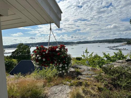 Sea & Sun — Sandefjord — photo 3