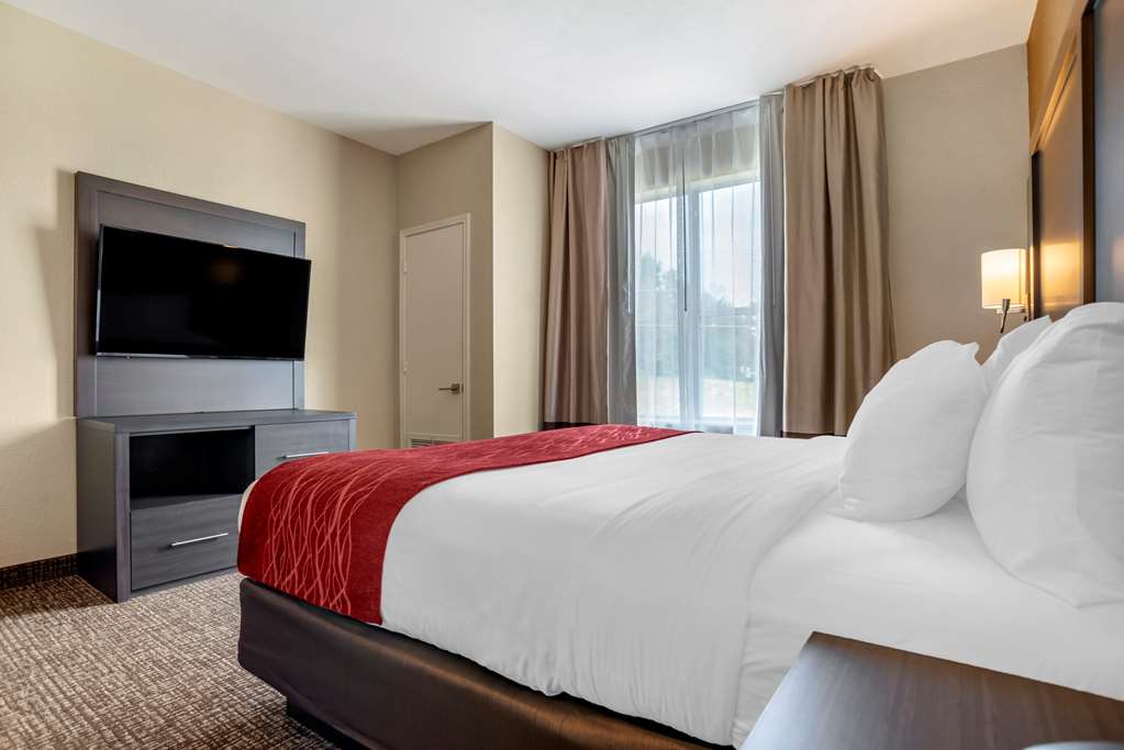 Comfort Inn & Suites Millbrook Prattville - photo 18