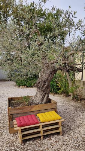 Les Figues Et Les Cigales in Hyeres, France