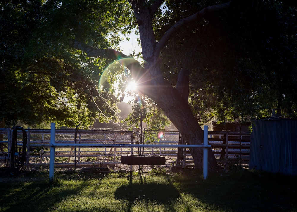 Red Horse Bed and Breakfast - photo 49