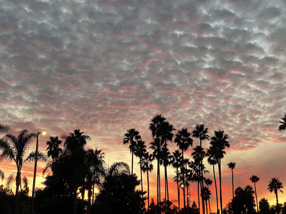 Holiday Inn Express Hotel & Suites Carlsbad Beach by IHG - photo 40