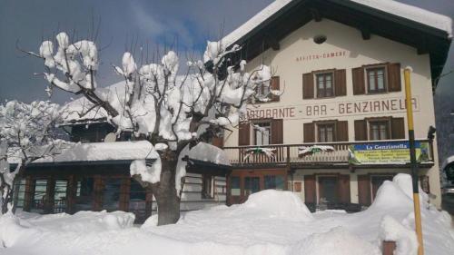 Affittacamere Genzianella in Gressoney-Saint-Jean, Italy